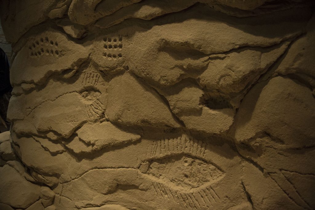 The Cave of Wonders and has been constructed to replicate a dahl, or cave - Scale Magazine