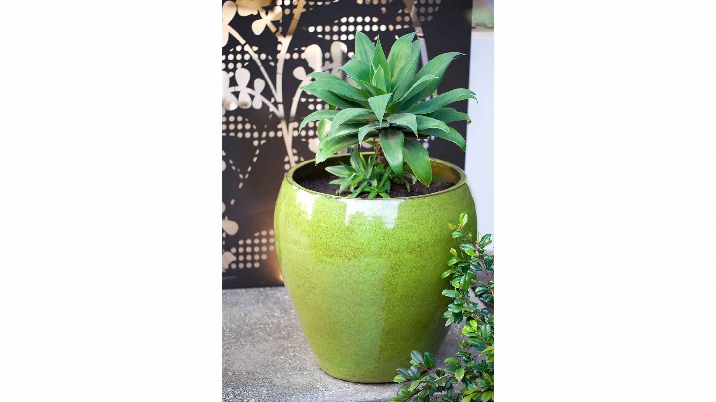 Ian Barker Gardens - Scale Magazine