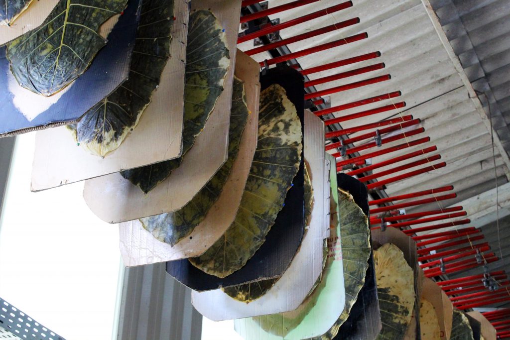 Autumn is the first collection of products in the world created with leaf fabric by two Brazilian designers Mauricio Noronha and Rodrigo Brenner from Furf Design Studio - Scale Magazine