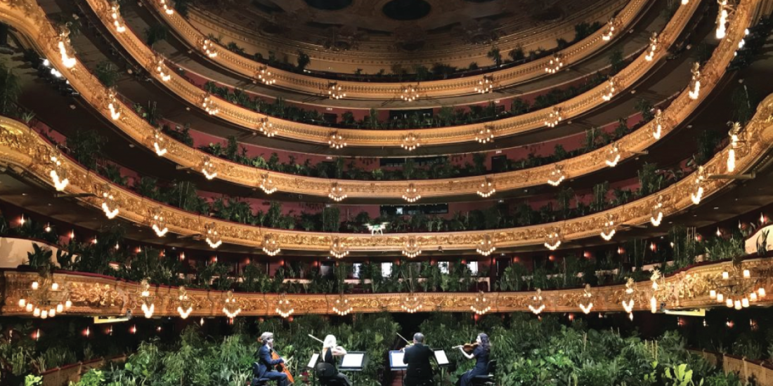 On June 22, Barcelona's Gran Teatre del Liceu Opera house was sold out to an unusual audience of thousands of plants as musicians played to mark Spain's lifting of lockdown - Scale Magazine