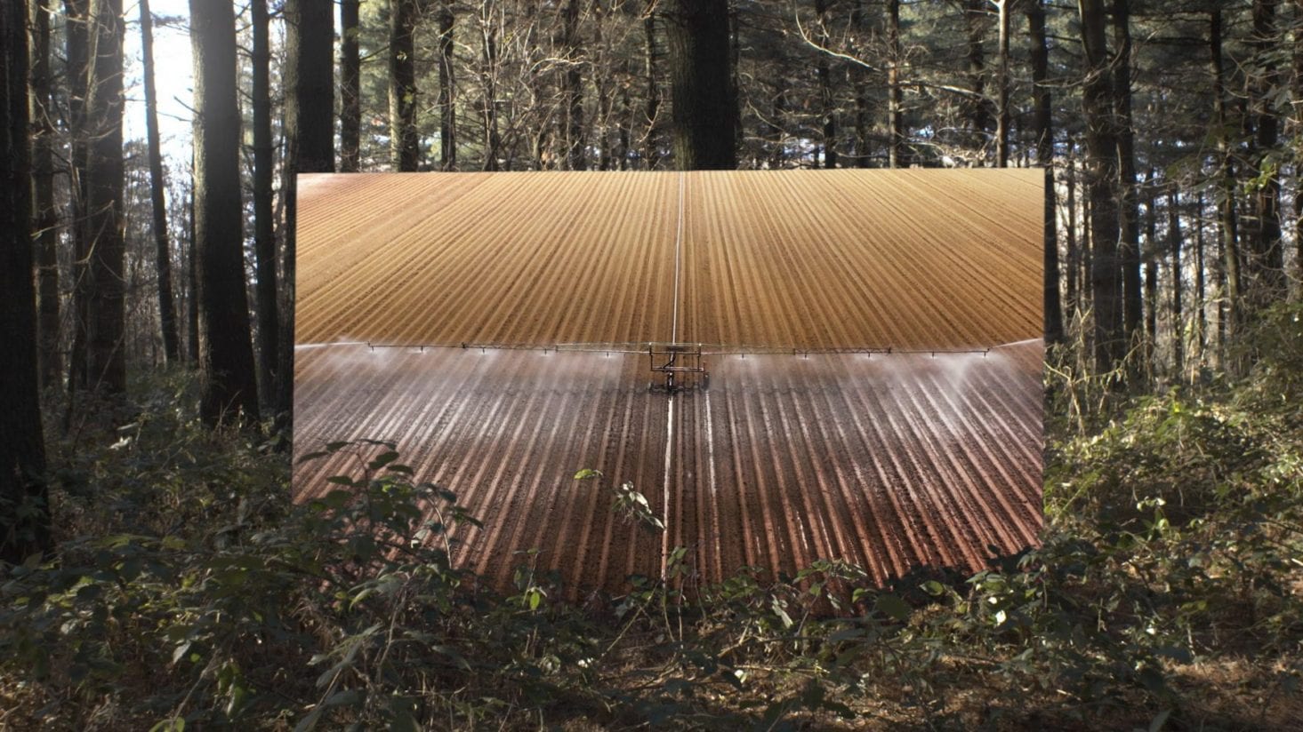 The Dynamics of the Timber Industry - Scale Architectural and Design Magazine