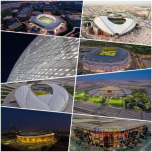Architecture Of The Eight Stadiums Of FIFA WORLD CUP 2022 architecture-of-the-eight-stadiums-of-fifa-world-cup-2022